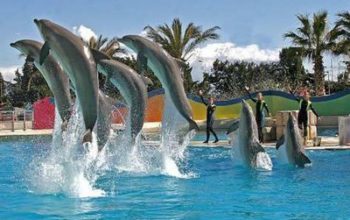 Marineland Antibes